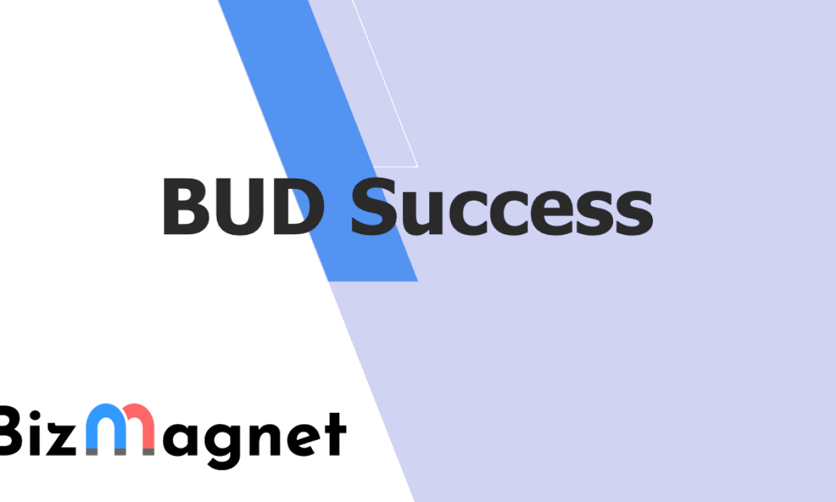 BUD成功案例2022 - BizMagnet