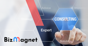 BizMagnet Consultant